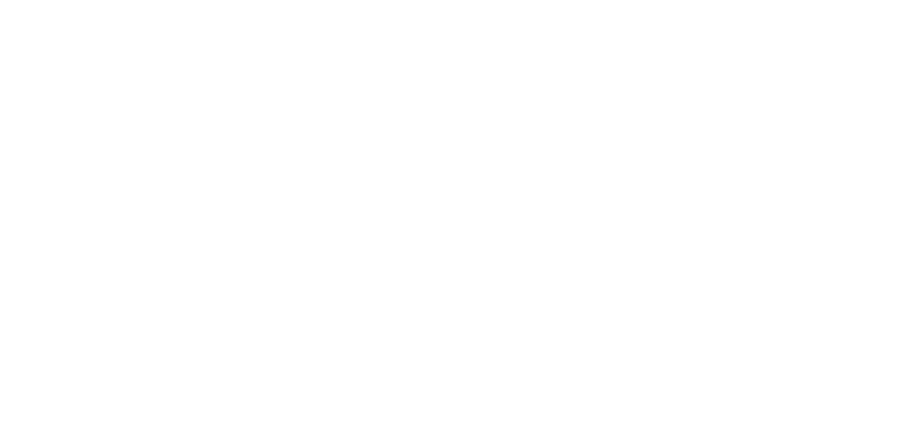 Zenith Agency